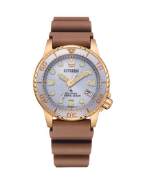 Citizen Pro Master Unisex Eco Drive Cambridge Jewellers
