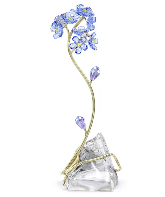 Florere Forget-me-not