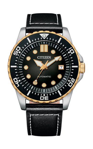 Citizen nh8380 diver automatic watch hotsell