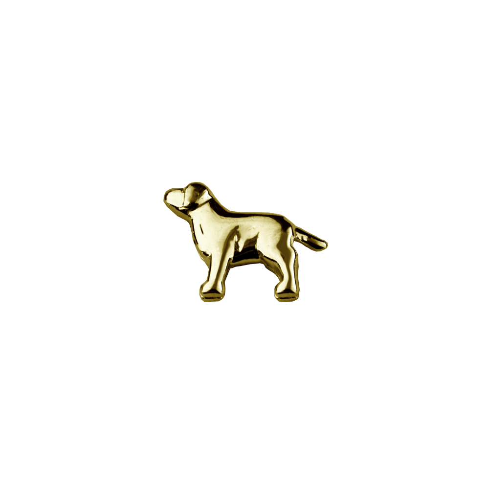 Gold Dog-Trusted