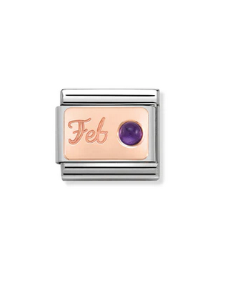 February Amethyst Charm
