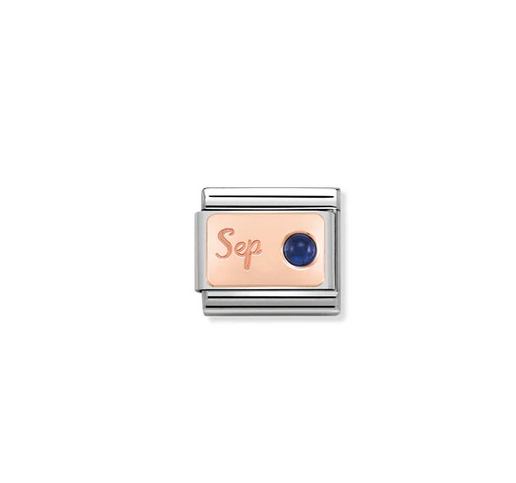 September Sapphire Charm