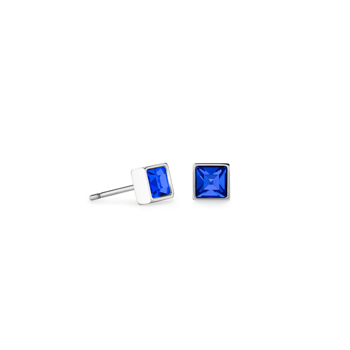 Bright Blue Stud Earrings