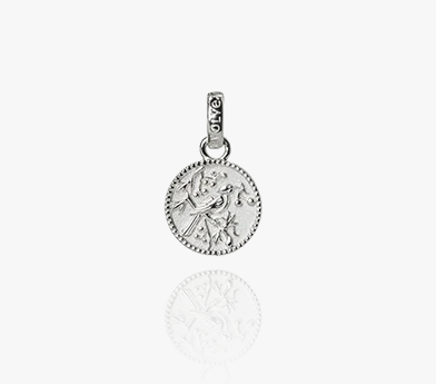 Tui Coin Pendant -SS (Admired)
