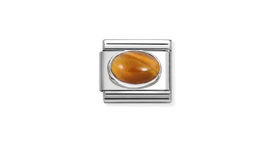 Oval Tiger Eye Charm