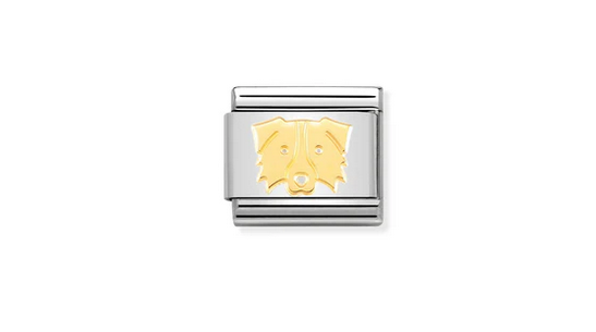Border Collie Charm