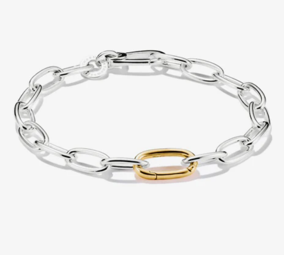 Charm Bracelet Bicolour with Connect Link  - 19cm