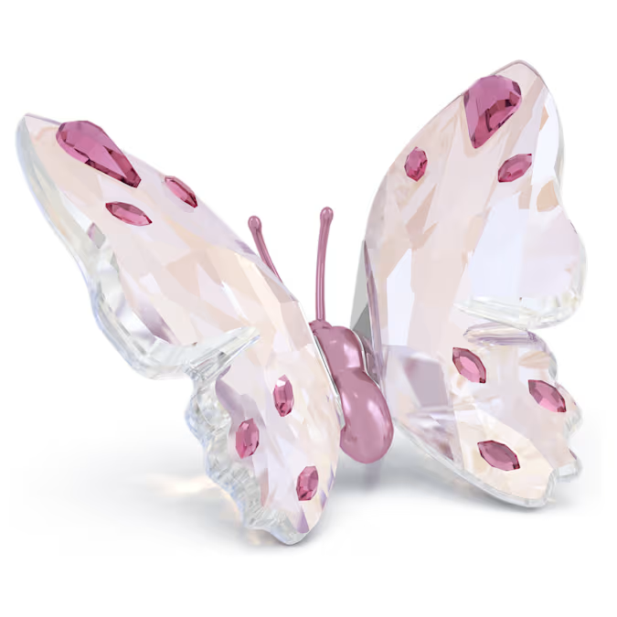 Idyllia Butterfly
