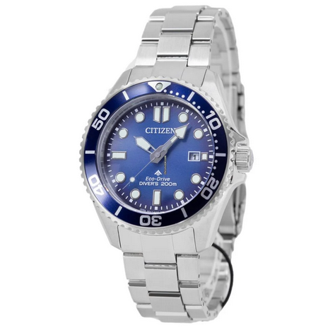 Citizen Promaster Eco-drive Analog Solar Radio Metal Watch