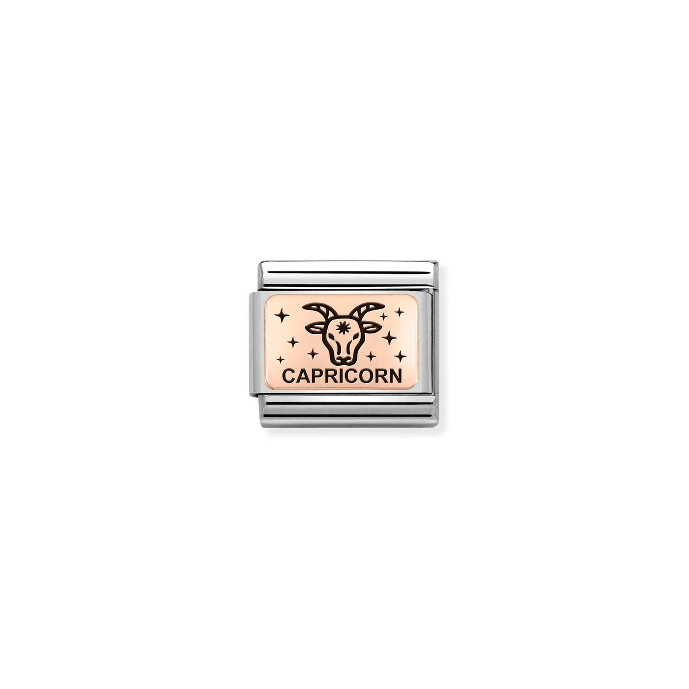 Capricorn Zodiac Charm