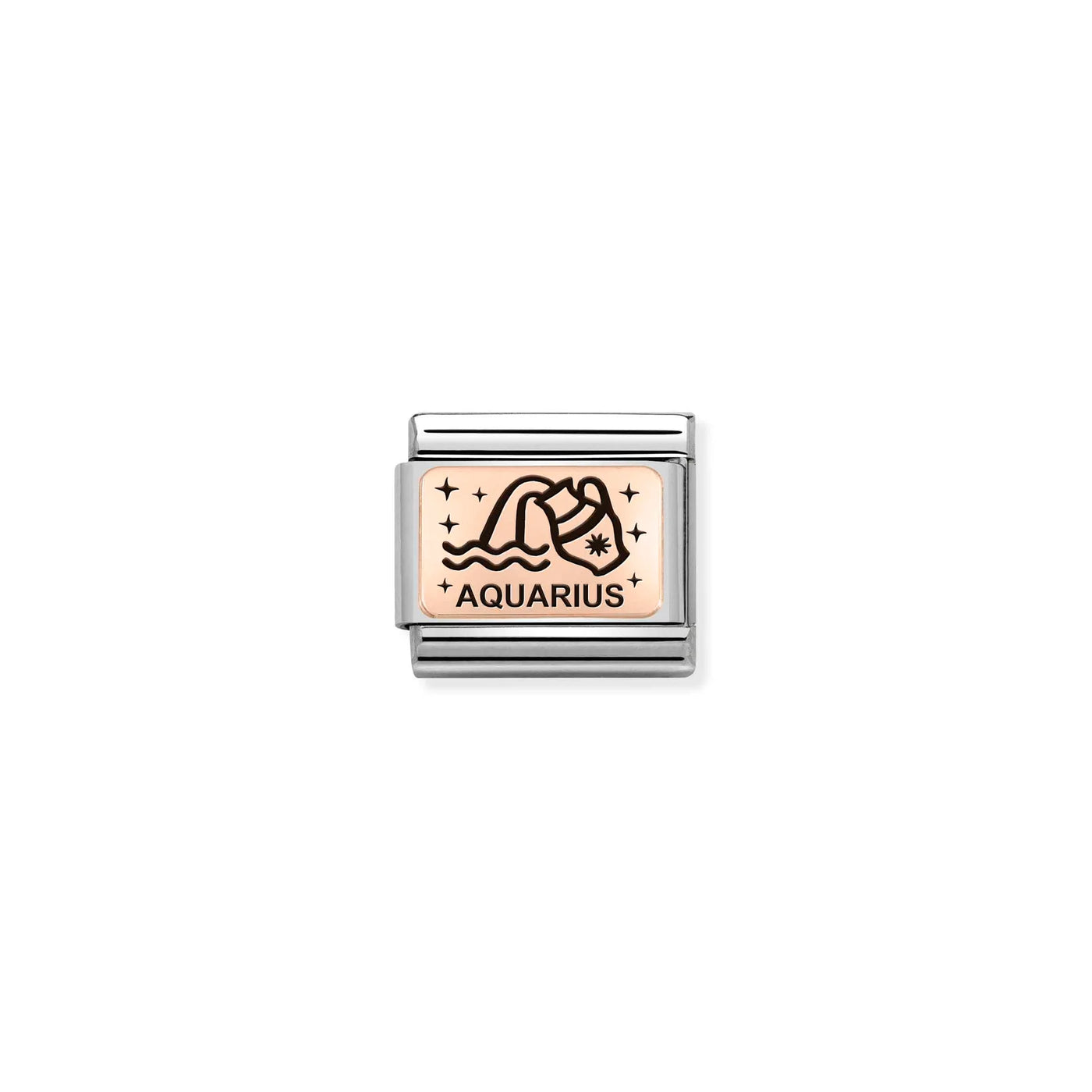 Aquarius Zodiac Charm