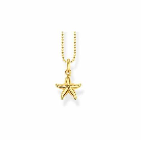 Starfish gold plated necklace